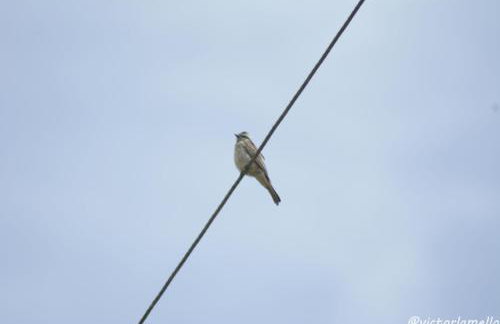 A Casinha Lumiar - Foto 54