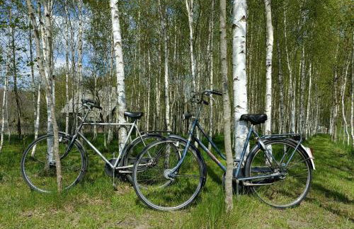 Siedlisko Brzozowe - Foto 19