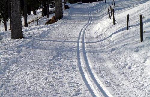 Ferienwohnung Bergahorn - Photo 14