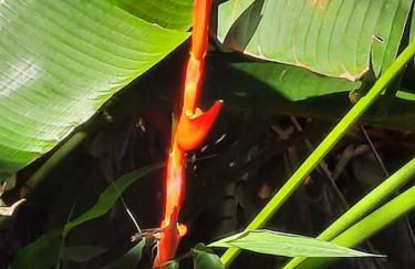 Chácara Recanto Feliz - Foto 24