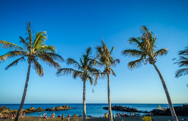 BelleVue Aquarius Aparthotel - Photo 38