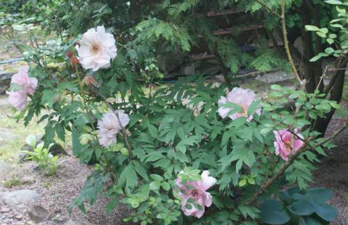 Holiday Home Ruhe am Meer - Ferienhäuser in den Gärten von Magra by Interhome - Foto 33