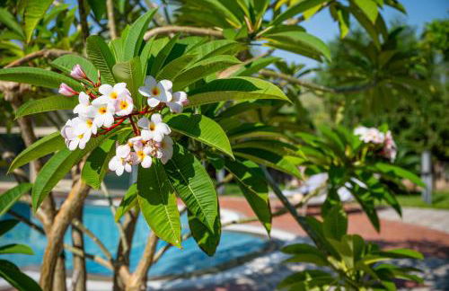 Villa Rita Taormina - Foto 17