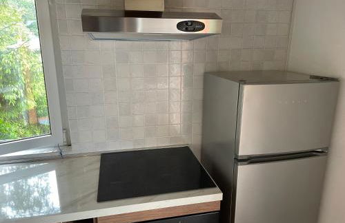 Appartamento lake view di Villa Giuliana - Foto 27