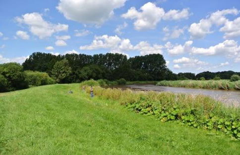 Ferienhaus Kalle 55180 - Foto 15