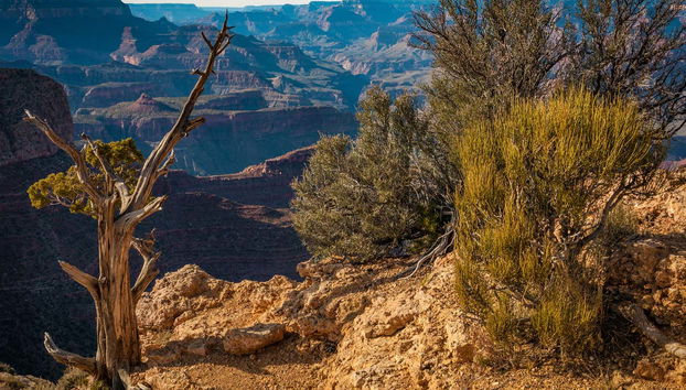 Biglietti per il Grand Canyon West - Foto 5