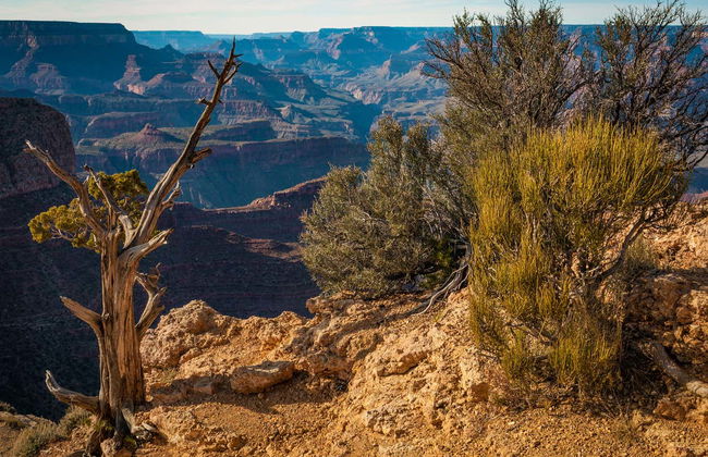 Billet pour le Grand Canyon West - Photo 5