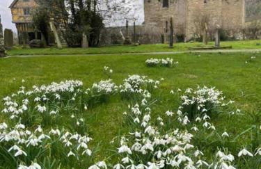 Wisteria Cottages are self catering cottages in a beautiful village location - Foto 30