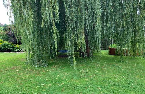 Güneitzblick - Foto 17