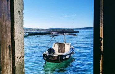 Žunić Apartman - Photo 18