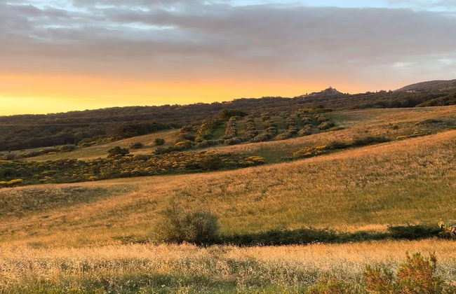 Peaceful Villa Stay in Tuscany - Foto 29