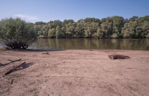 Schöne 2 Zimmerwohnung mit UHD-TV, großem Balkon und Hängematte - Foto 6
