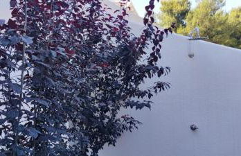 CASA VACANZA ANNA FRANK - CAMPOMARINO di MARUGGIO (TA) - Foto 36