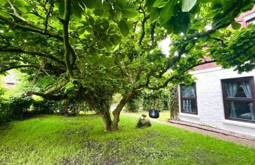 Bright apartment in Emden with terrace 60 m² - Photo 7