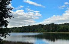 Osada Miłojeż - całoroczne Domy Premium w Borach Tucholskich, Jacuzzi pod gwiazdami - Foto 79