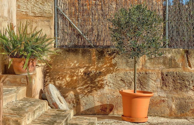 Finca Son Valls - Photo 32