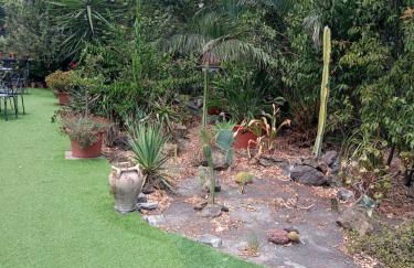 Ai 4 gatti - Foto 15