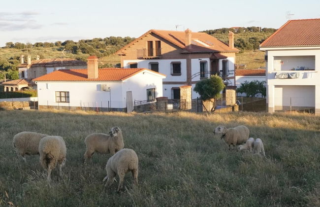 Apartamentos Estrellas de Monfragüe - Photo 40