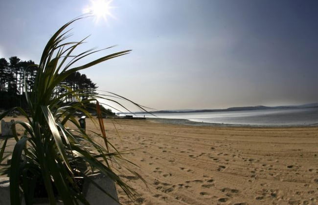 About Tern - Foto 23