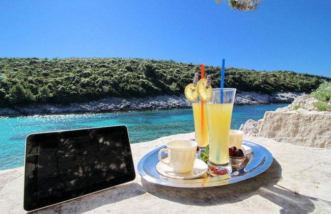 Oasis of Paradise - Photo 9