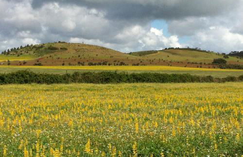 village loft - Foto 25