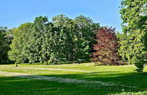 Licht+Luft, Wohnen auf Zeit - Foto 41