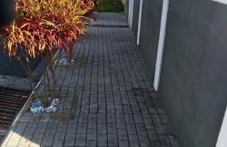 RECANTO K9 - SERRA NEGRA SP. No verão e no inverno - Foto 27