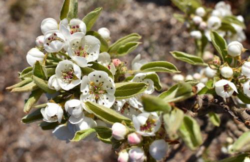 Ferienwohnung Jannack für 5 Personen in Bad Münder - Foto 25