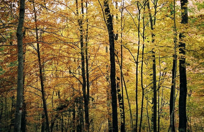 Bio Agriturismo La Cerqua - Foto 59