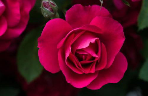 Ferienwohnung Lacherhof - Foto 14