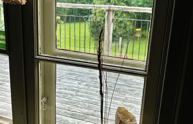 Lydde Gård - Photo 27