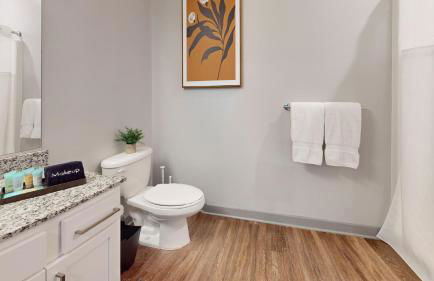 H4N Furnished Apartments at Ellipse Urban in Hampton VA - Photo 34