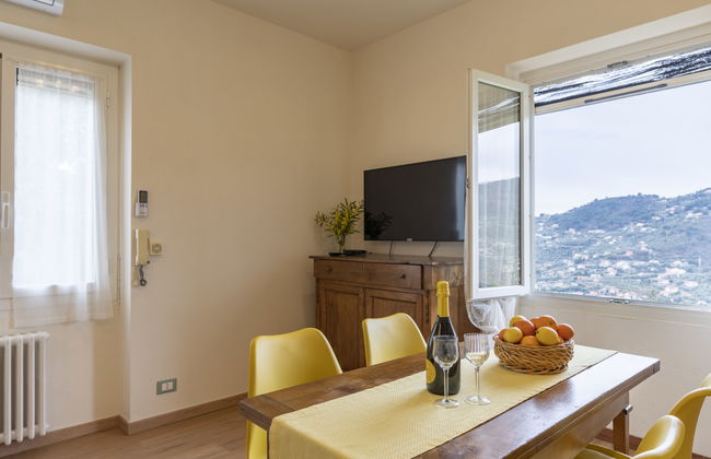 Coty (IMP522) - Foto 7