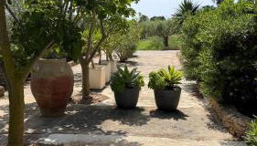 Casa ulivo Agave Favignana At My Place - Foto 2