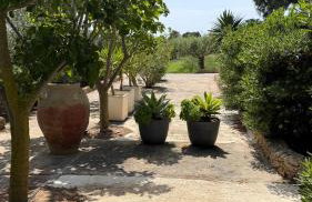 Casa ulivo Agave Favignana At My Place - Foto 2
