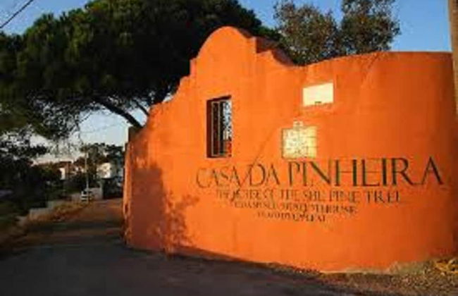 Shepinetree - Pinheira House - Foto 55