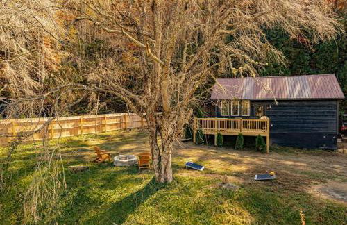 Little Blue in the Smoky Mountains - Foto 3