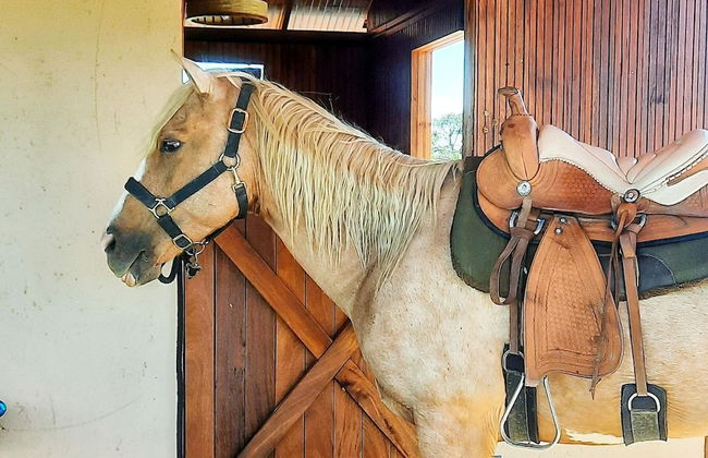 Paradise Ranch - Foto 21