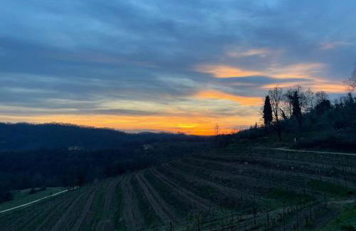 Belvedere a Monte - Foto 19