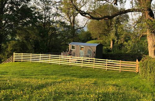 The Peacock Shepherds Hut at Hafoty Boeth - Photo 22