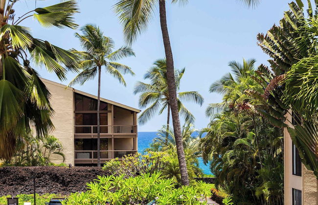 Plan Your Hawaii Vacay at Grace's Oasis! - Foto 63