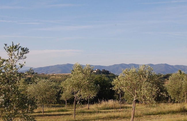 Bio Agriturismo La Spiga D'oro - Photo 30