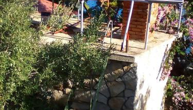 Vila Marijeta - Foto 3