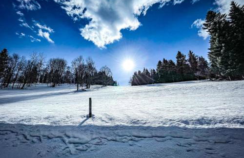Pod Srebrzystym Świerkiem - Jacuzzi - Foto 52