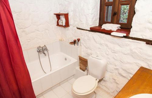 260m2 Unique Mountain House in Lilea Parnasos - Foto 42