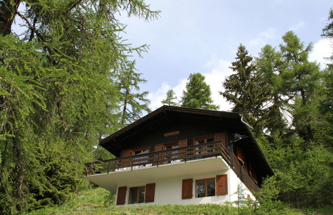 Chalet Soldanella (BEL205) - Foto 15