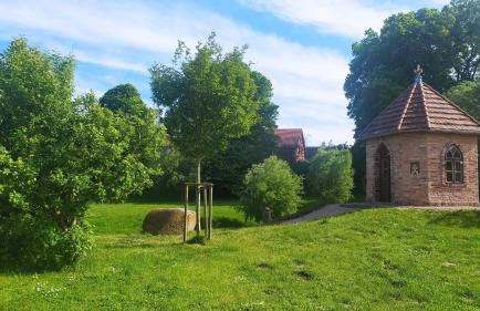 Ferienwohnung Birnengarten am Pfarrgarten Starkow - Foto 13