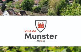 La Bourgogne en Alsace - charmant séjour familial - Foto 18