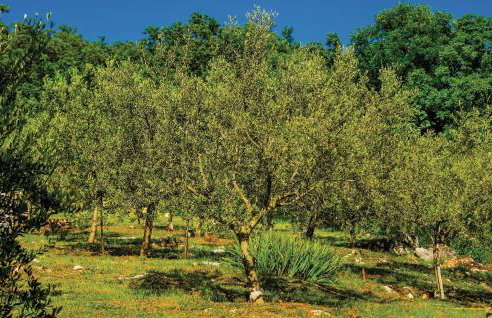 Holiday Home Reburici I - Foto 12