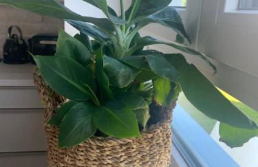 Casa Diego Bielefeld mit Garten - Photo 23